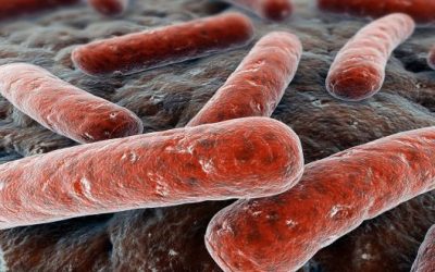 Tuberculosis Day – A Third of the World…